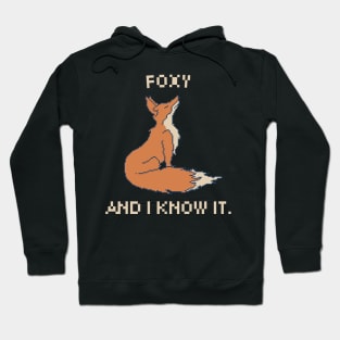 Foxy and I Know It. 8-Bit Pixel Art Fox Hoodie